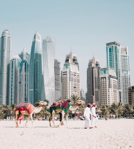 05 left image banner