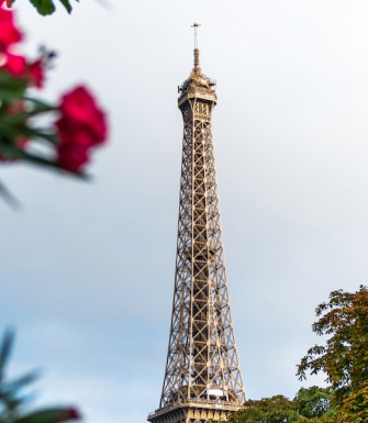 05 right image banner