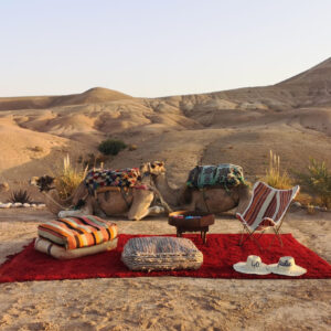 Camel Ride (with Pickup) – Agafay Desert